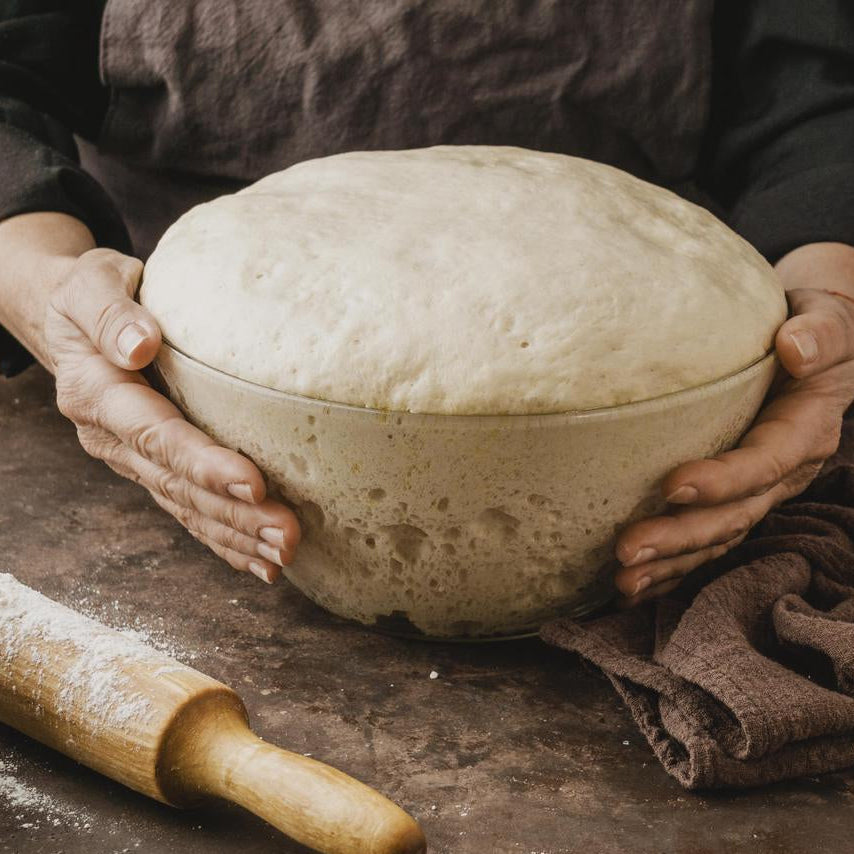 The Secret to the Perfect Rise: Why Precise Temp Control (50-113℉) Matters