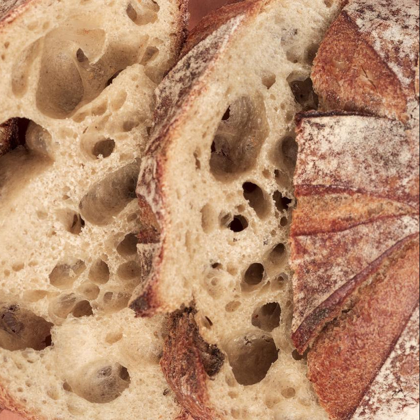 Slow vs. Fast Fermentation: How to Use the 48H Timer for Flavor